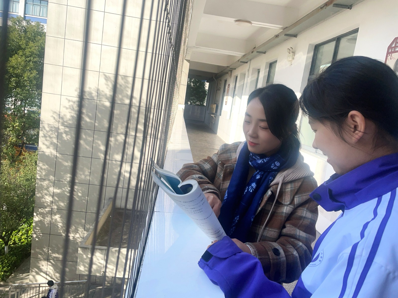 1764723520538705.jpg 1764723520538705.jpg