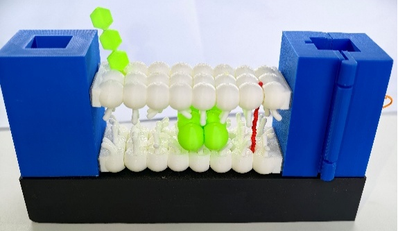 1767946063241072.png 1767946063241072.png