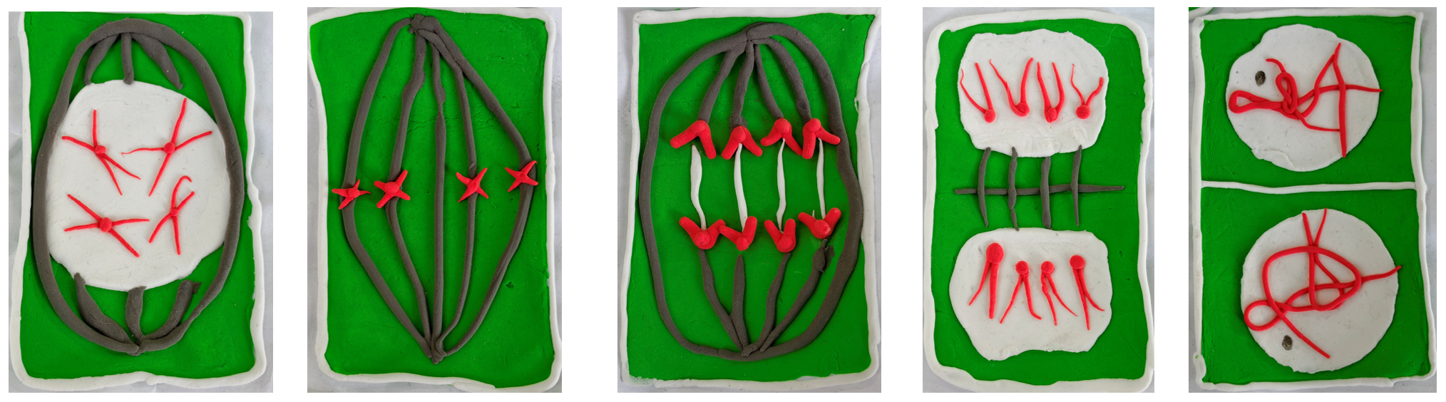 1767946387838422.png 1767946387838422.png