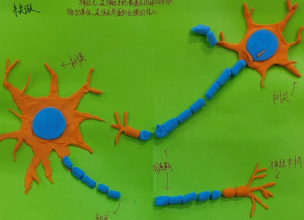 1767946526228896.png 1767946526228896.png