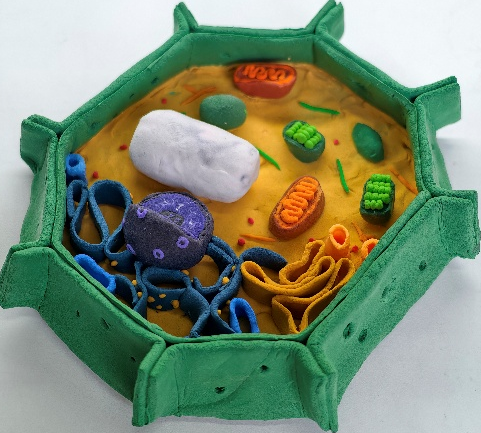 1767946721732039.png 1767946721732039.png