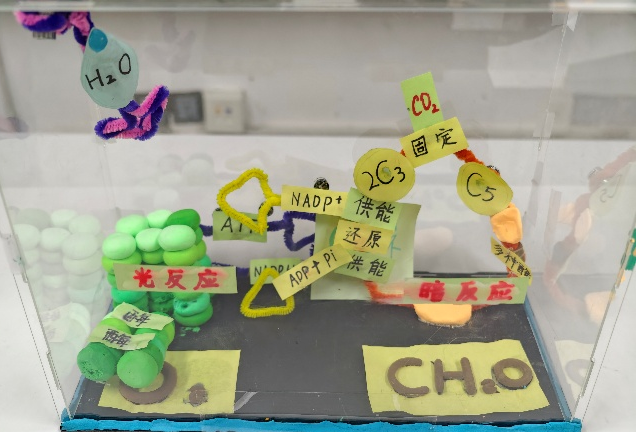 1767946932281084.png 1767946932281084.png