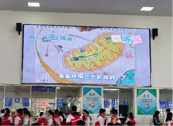 1767947148147726.png 1767947148147726.png